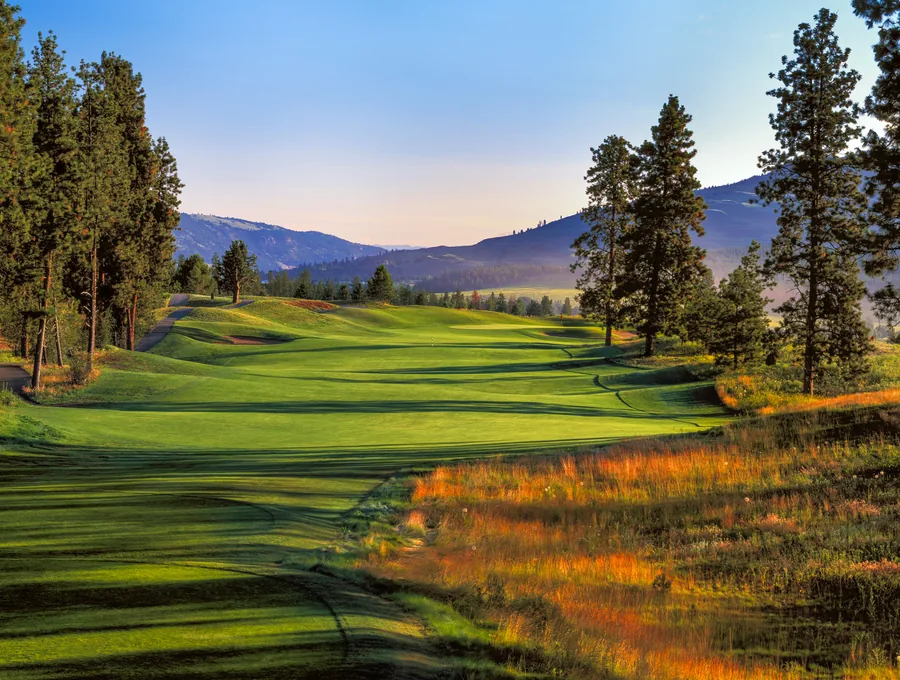 OGC — The Bear Course