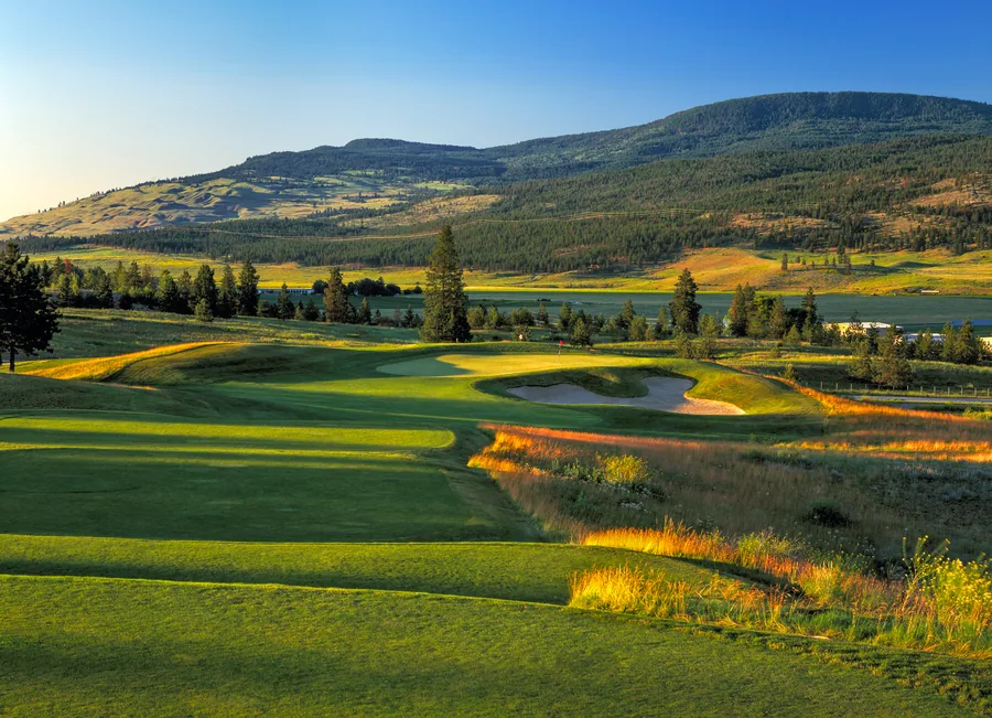 OGC — The Quail Course